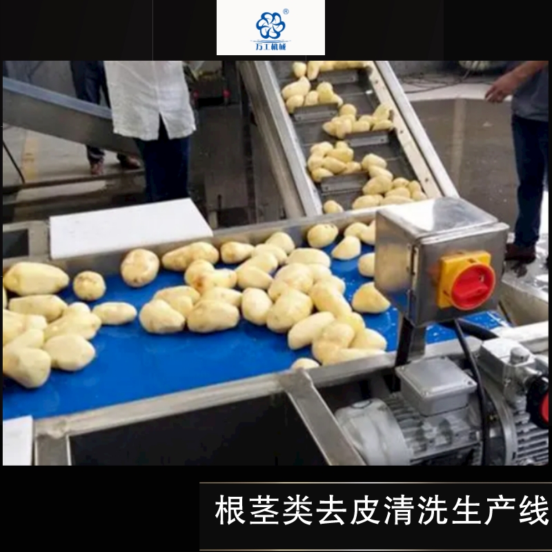 根莖類去皮清洗生産線