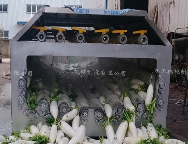 蘿蔔清洗機